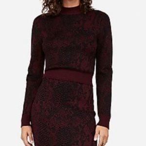 Express Snakeprint Sweater